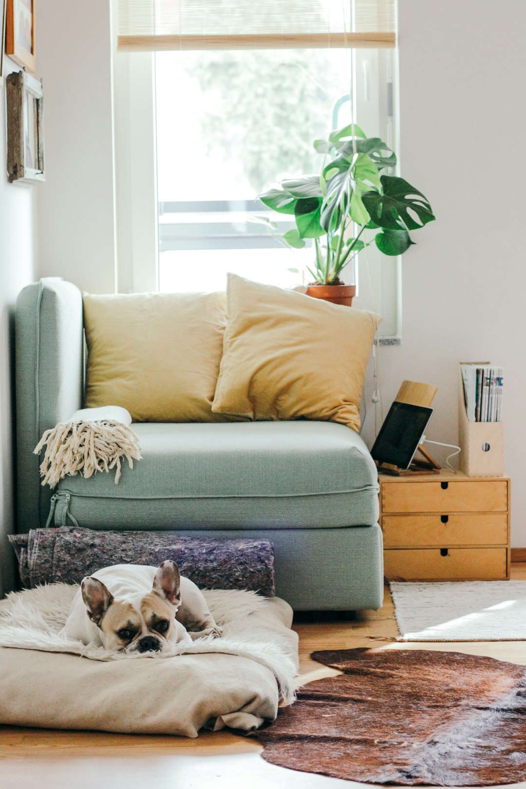 Featured image of post Play-Based Learning at Home: A Parent's Guide
